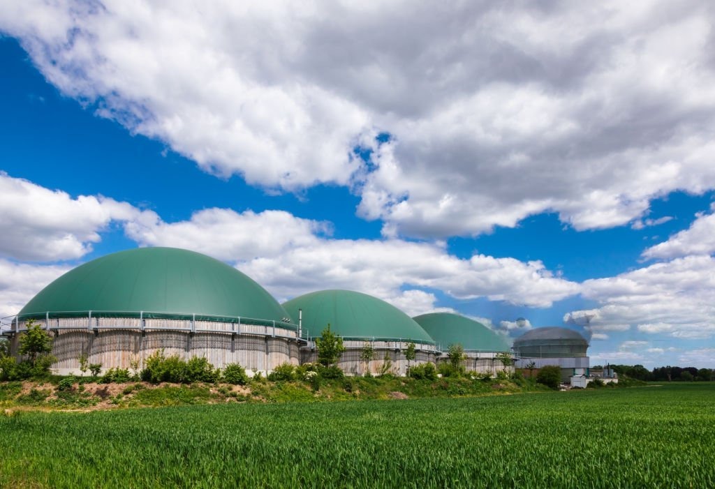 Napier Biofuels Plant