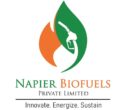 napierbiofuels