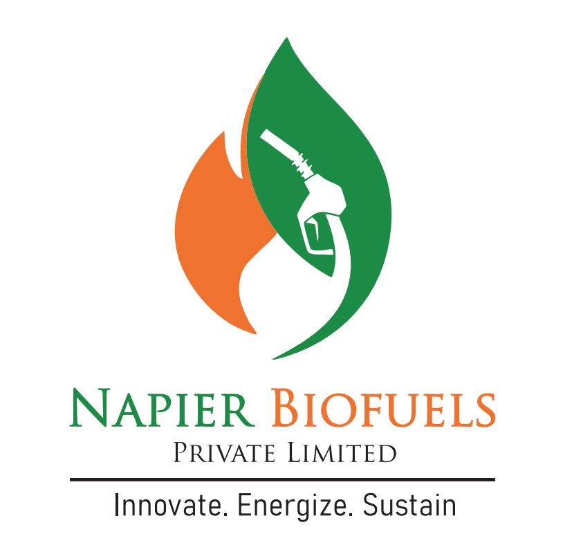 Napier Biofuels Logo